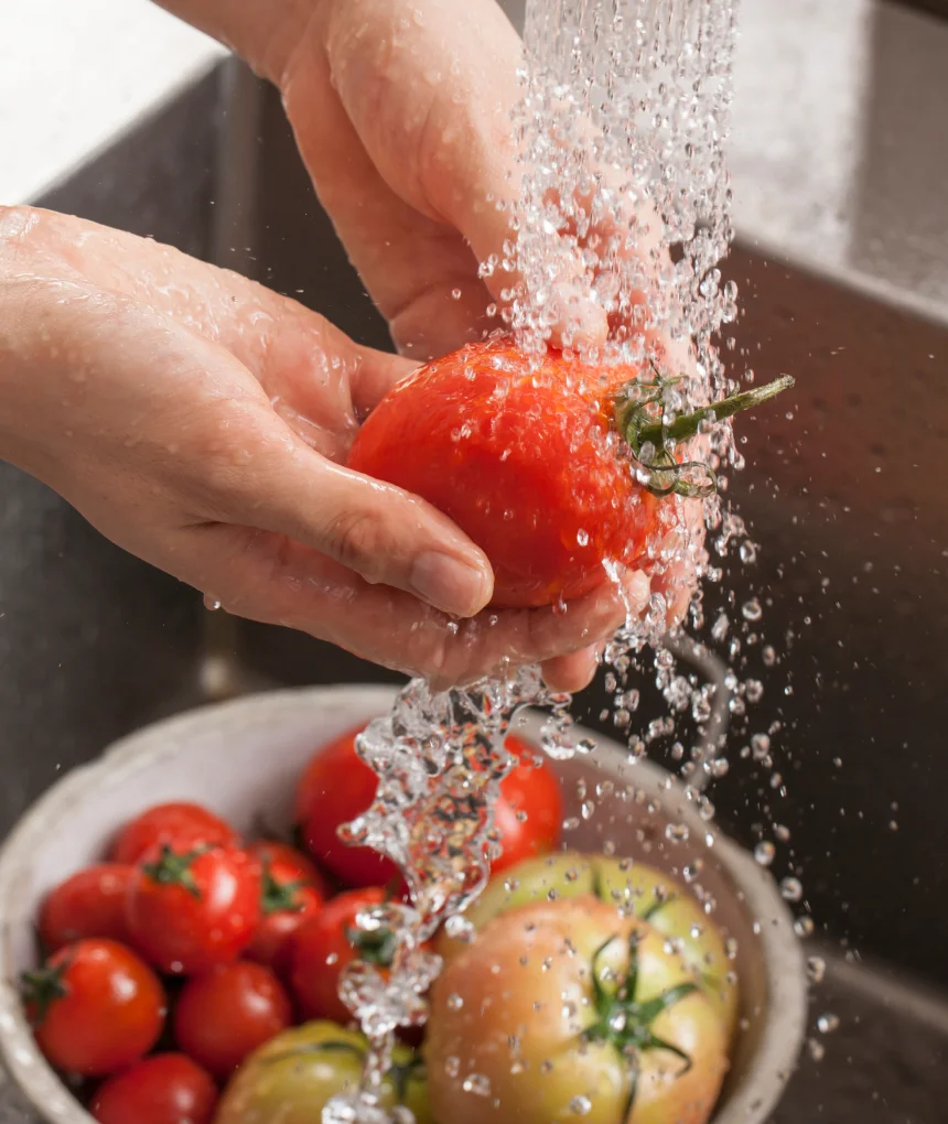 치유본 건강밥상 신선한 유기농 채소 세척