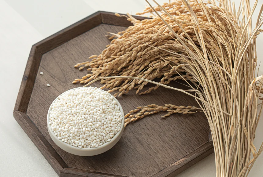 치유본 건강밥상 유기농 현미